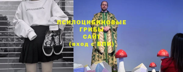 СК Богородицк