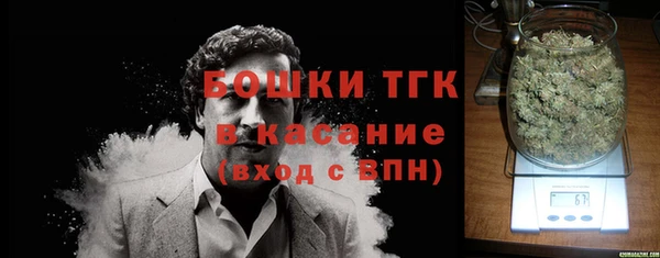 эйфоретик Богданович