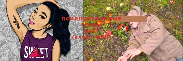 эйфоретик Богданович