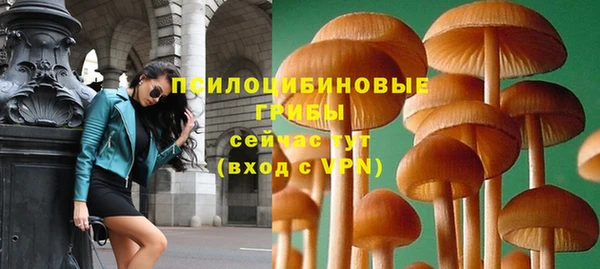 эйфоретик Богданович