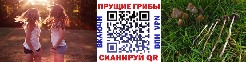 Галлюциногенные грибы GOLDEN TEACHER Ейск